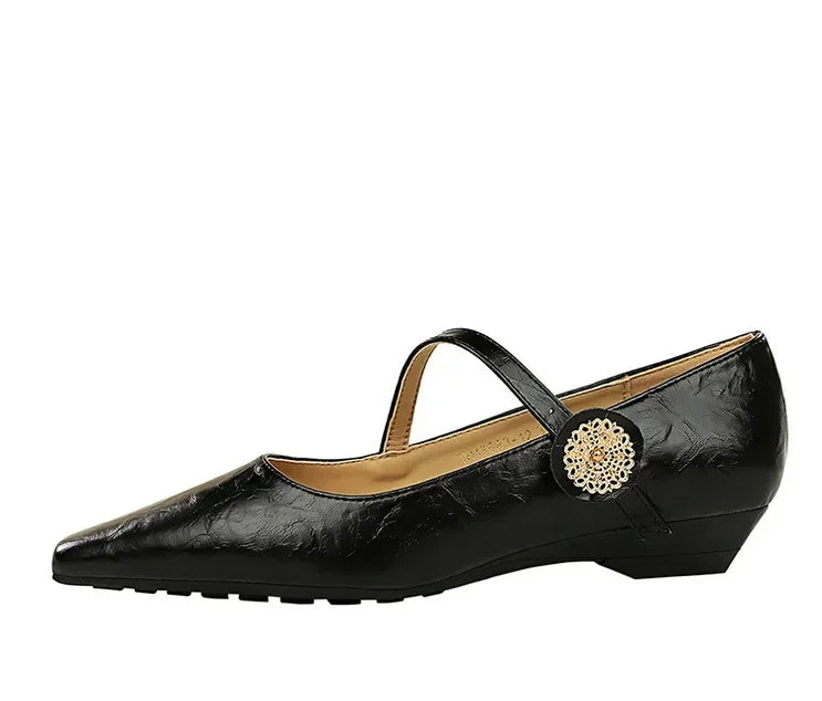 Spring Women's Shoes Classic Style Fashion Pointed Toe Daily Commuter Women's Mary Jane Party Ladies Shoes