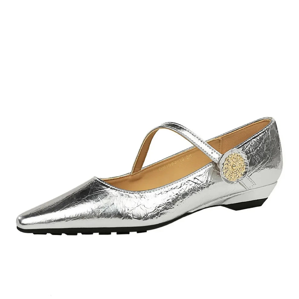 Spring Women's Shoes Classic Style Fashion Pointed Toe Daily Commuter Women's Mary Jane Party Ladies Shoes