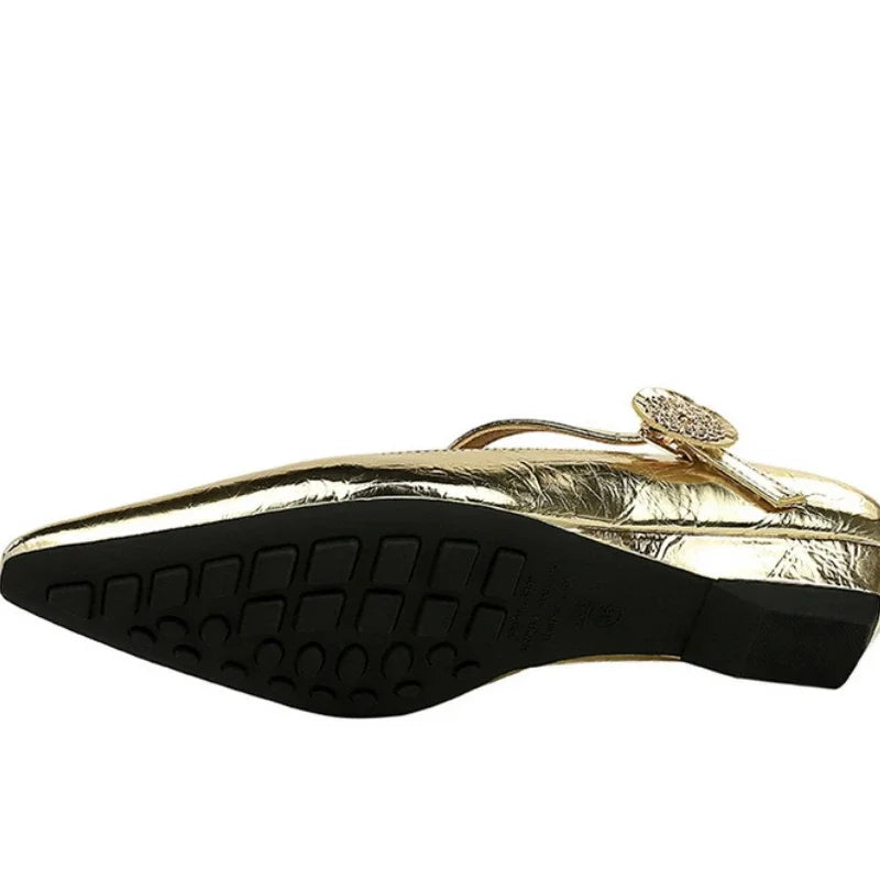 Spring Women's Shoes Classic Style Fashion Pointed Toe Daily Commuter Women's Mary Jane Party Ladies Shoes