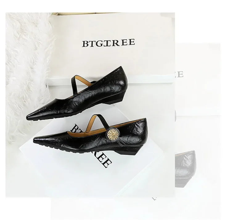Spring Women's Shoes Classic Style Fashion Pointed Toe Daily Commuter Women's Mary Jane Party Ladies Shoes