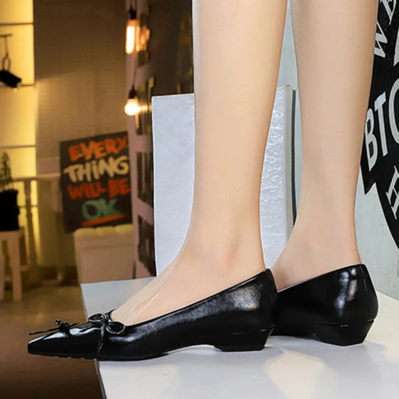 Pointed End Low Heeled Shoes Women Wedges Bowknot Low Heels Pumps Elegant Banquet Shoe Kitten Heels Ladies Shoes