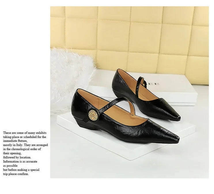 Spring Women's Shoes Classic Style Fashion Pointed Toe Daily Commuter Women's Mary Jane Party Ladies Shoes