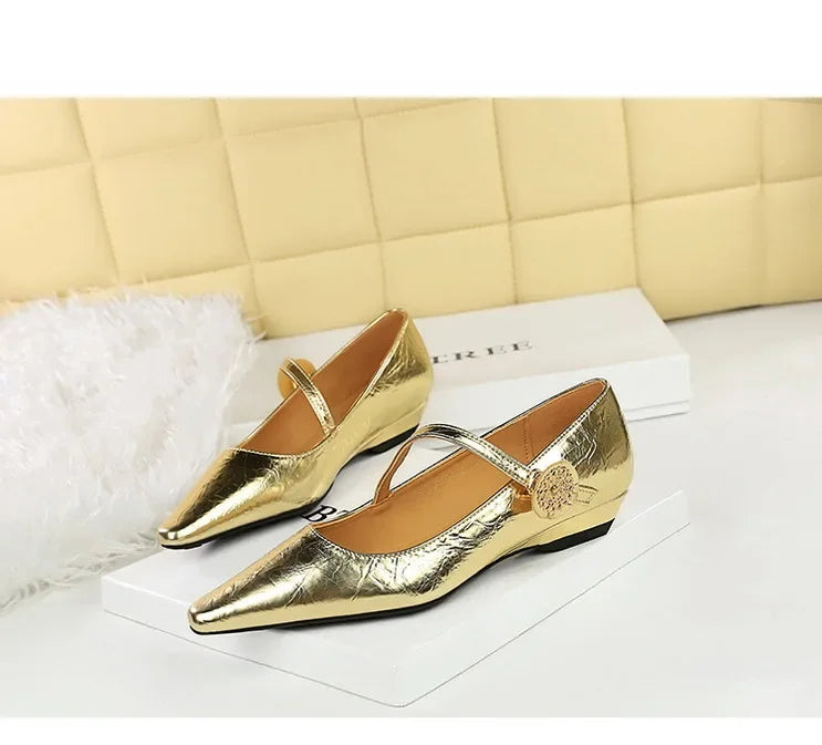 Spring Women's Shoes Classic Style Fashion Pointed Toe Daily Commuter Women's Mary Jane Party Ladies Shoes