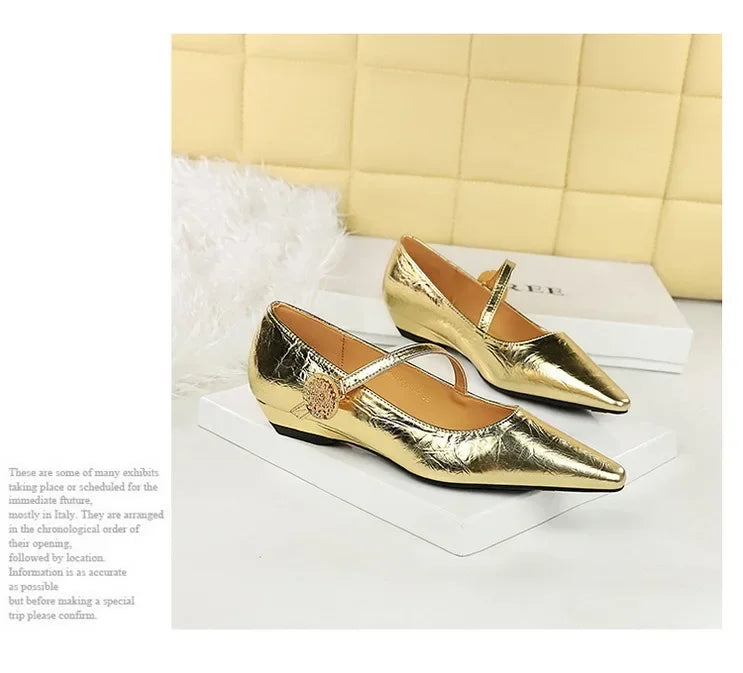 Spring Women's Shoes Classic Style Fashion Pointed Toe Daily Commuter Women's Mary Jane Party Ladies Shoes