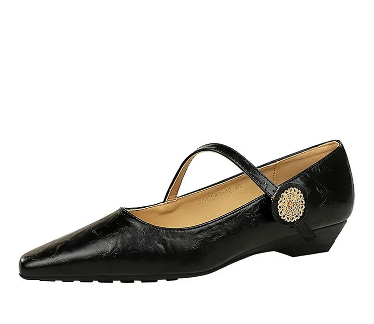 Spring Women's Shoes Classic Style Fashion Pointed Toe Daily Commuter Women's Mary Jane Party Ladies Shoes