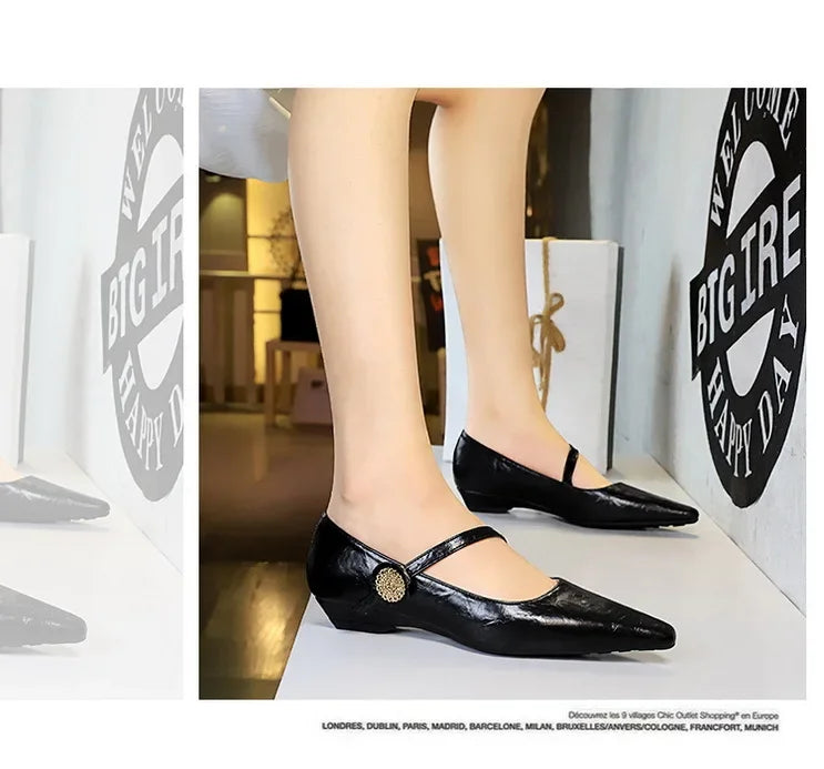 Spring Women's Shoes Classic Style Fashion Pointed Toe Daily Commuter Women's Mary Jane Party Ladies Shoes