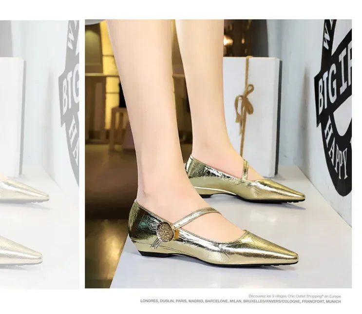 Spring Women's Shoes Classic Style Fashion Pointed Toe Daily Commuter Women's Mary Jane Party Ladies Shoes