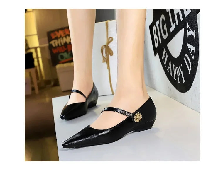 Spring Women's Shoes Classic Style Fashion Pointed Toe Daily Commuter Women's Mary Jane Party Ladies Shoes