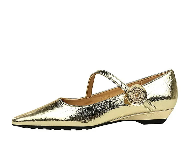 Spring Women's Shoes Classic Style Fashion Pointed Toe Daily Commuter Women's Mary Jane Party Ladies Shoes