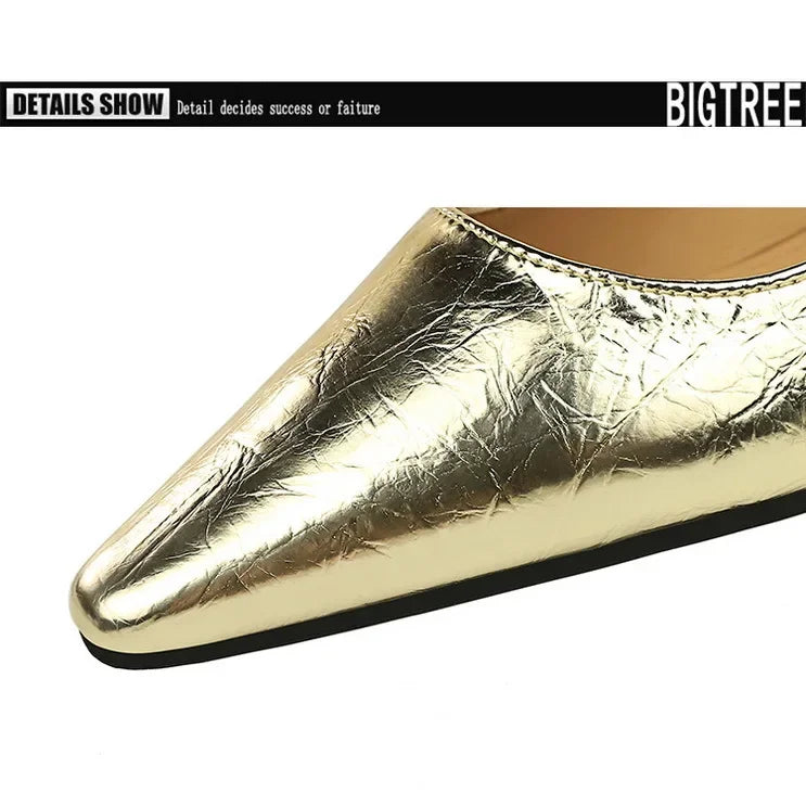 Spring Women's Shoes Classic Style Fashion Pointed Toe Daily Commuter Women's Mary Jane Party Ladies Shoes