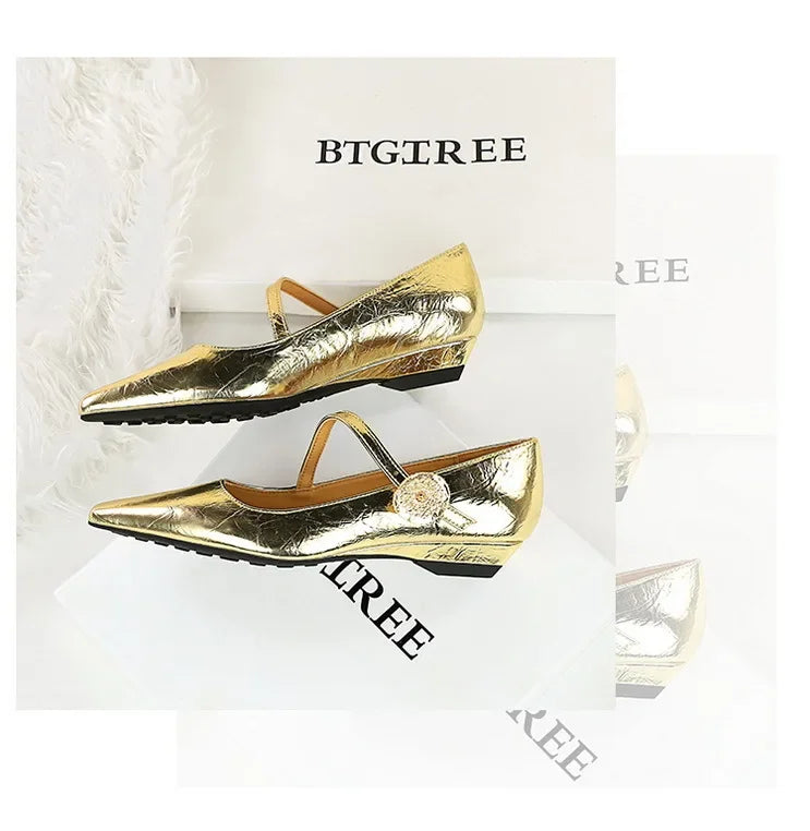 Spring Women's Shoes Classic Style Fashion Pointed Toe Daily Commuter Women's Mary Jane Party Ladies Shoes