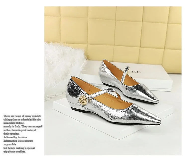 Spring Women's Shoes Classic Style Fashion Pointed Toe Daily Commuter Women's Mary Jane Party Ladies Shoes