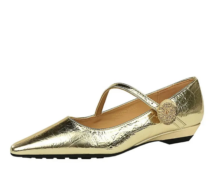 Spring Women's Shoes Classic Style Fashion Pointed Toe Daily Commuter Women's Mary Jane Party Ladies Shoes