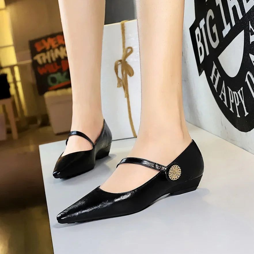Spring Women's Shoes Classic Style Fashion Pointed Toe Daily Commuter Women's Mary Jane Party Ladies Shoes