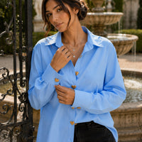 Women's Elegant Single Breasted Shirts Long Sleeve Tops Spring Fashion Casual Office Holiday  Party Blouses Natalia Home Fashion    Natalia Home Fashion