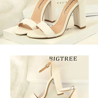 Sexy High Heels Women Pumps Comfort Women Shoes Block Heels Ladies Shoes Buckle Women Heels Female Shoes Women Sandals