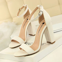 Sexy High Heels Women Pumps Comfort Women Shoes Block Heels Ladies Shoes Buckle Women Heels Female Shoes Women Sandals