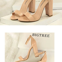 Sexy High Heels Women Pumps Comfort Women Shoes Block Heels Ladies Shoes Buckle Women Heels Female Shoes Women Sandals