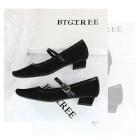 Heels Women Vintage Mary Jane shoes Metal leopard print square head Women Pumps Low heel high heels Suede