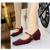 Heels Women Vintage Mary Jane shoes Metal leopard print square head Women Pumps Low heel high heels Suede