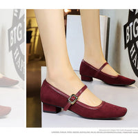 Heels Women Vintage Mary Jane shoes Metal leopard print square head Women Pumps Low heel high heels Suede