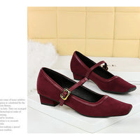 Heels Women Vintage Mary Jane shoes Metal leopard print square head Women Pumps Low heel high heels Suede