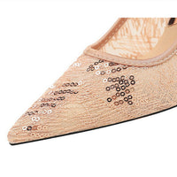 Women Pumps pointed tip High Heels Women 9.5 Cm Heels Lace mesh Wedding shoes Stiletto Sexy party shoes