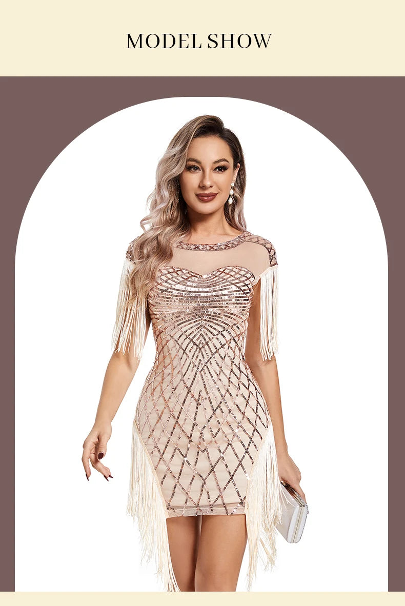 Sequin Retro Dress Embroidered Dress Prom Dress for women