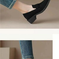 British Style Fleece Lined Chunky Heel Loafers Women's Shoes Retro French Vintage Leather Casual Shoes Rubber Sole Adult Footwear