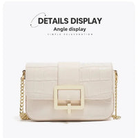 Luxury Two-Layer Cow Leather Handbag Women's Trendy Chain Crossbody Phone Bag Single Shoulder Bag Neutral Minimalist Style