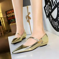 Spring Women's Shoes Classic Style Fashion Pointed Toe Daily Commuter Women's Mary Jane Party Ladies Shoes
