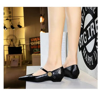 Spring Women's Shoes Classic Style Fashion Pointed Toe Daily Commuter Women's Mary Jane Party Ladies Shoes