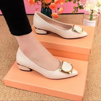 Women Pointed Toe Square Heel Shoes Chunky Heels Casual Slip on Lady High Quality Comfort Pumps