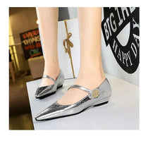 Spring Women's Shoes Classic Style Fashion Pointed Toe Daily Commuter Women's Mary Jane Party Ladies Shoes