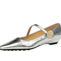 Spring Women's Shoes Classic Style Fashion Pointed Toe Daily Commuter Women's Mary Jane Party Ladies Shoes