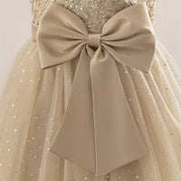 Girls Flower Embroidery Party Dress Kids Big Bow Long Wedding Bridesmaid Prom Gown Girl Fashion Lace Birthday Clothes Costumes