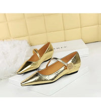 Spring Women's Shoes Classic Style Fashion Pointed Toe Daily Commuter Women's Mary Jane Party Ladies Shoes