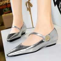 Spring Women's Shoes Classic Style Fashion Pointed Toe Daily Commuter Women's Mary Jane Party Ladies Shoes