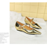 Spring Women's Shoes Classic Style Fashion Pointed Toe Daily Commuter Women's Mary Jane Party Ladies Shoes