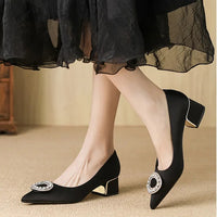 Soft Leather Black Pointed Toe Work Shoes Spring Autumn New Style Comfortable Thick Heel Professional Soft Bottom Shoes
