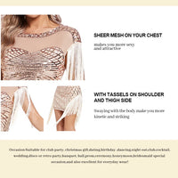 Sequin Retro Dress Embroidered Dress Prom Dress for women