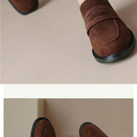 British Style Fleece Lined Chunky Heel Loafers Women's Shoes Retro French Vintage Leather Casual Shoes Rubber Sole Adult Footwear