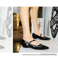 Spring Women's Shoes Classic Style Fashion Pointed Toe Daily Commuter Women's Mary Jane Party Ladies Shoes