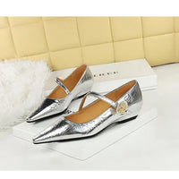 Spring Women's Shoes Classic Style Fashion Pointed Toe Daily Commuter Women's Mary Jane Party Ladies Shoes