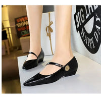 Spring Women's Shoes Classic Style Fashion Pointed Toe Daily Commuter Women's Mary Jane Party Ladies Shoes