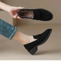British Style Fleece Lined Chunky Heel Loafers Women's Shoes Retro French Vintage Leather Casual Shoes Rubber Sole Adult Footwear
