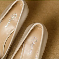 French Style Single Shoes Spring Women Pumps New Pointed Toe Shallow Mouth Metallic Buckle Commuting Shoes Stiletto Single Shoes