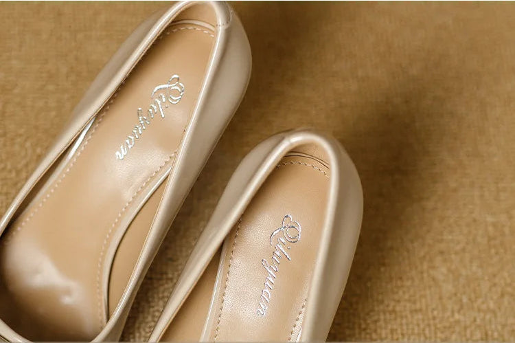 French Style Single Shoes Spring Women Pumps New Pointed Toe Shallow Mouth Metallic Buckle Commuting Shoes Stiletto Single Shoes