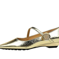 Spring Women's Shoes Classic Style Fashion Pointed Toe Daily Commuter Women's Mary Jane Party Ladies Shoes