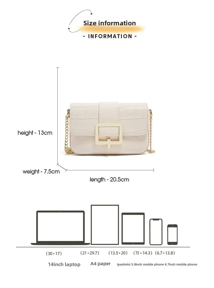 Luxury Two-Layer Cow Leather Handbag Women's Trendy Chain Crossbody Phone Bag Single Shoulder Bag Neutral Minimalist Style